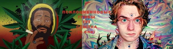 ALPHA-PVP Новозыбков