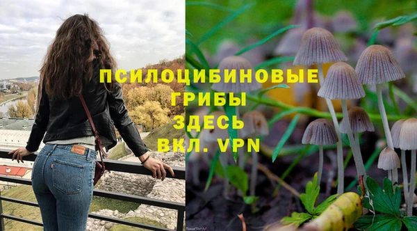 прущая мука Нязепетровск