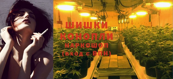 стаф Нягань