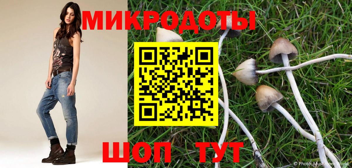 Галлюциногенные грибы Magic Shrooms  Иваново  Псилоцибиновые грибы прущие грибы 