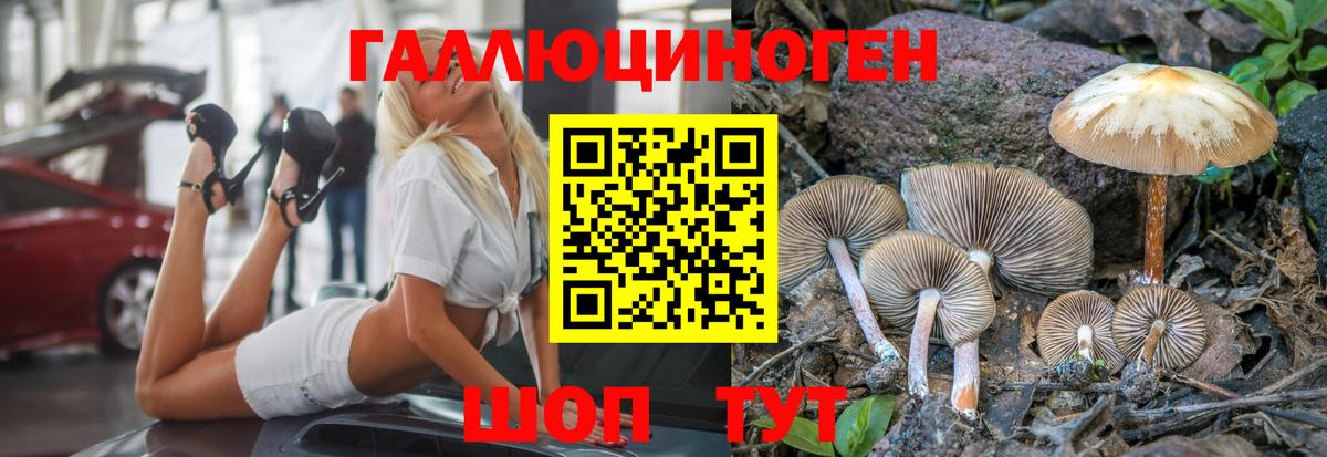 Галлюциногенные грибы MAGIC MUSHROOMS Иваново