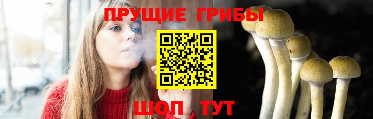 Иваново  Псилоцибиновые грибы Magic Shrooms  Псилоцибиновые грибы GOLDEN TEACHER  Вход с VPN 